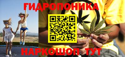 гашик Канаш