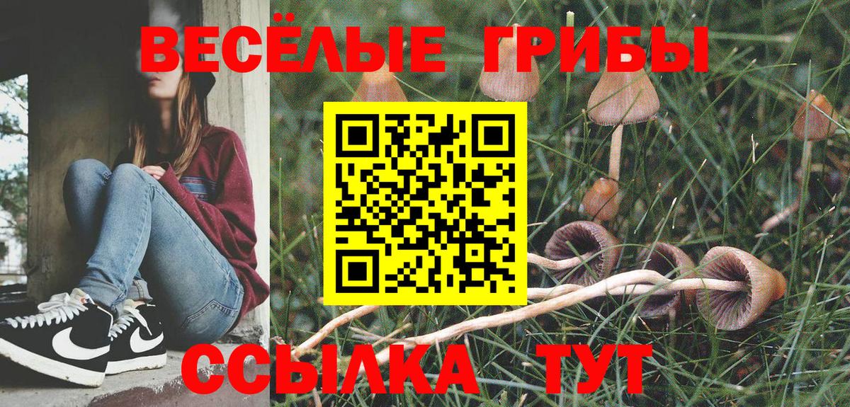 Маркс  Галлюциногенные грибы Psilocybe  Галлюциногенные грибы ЛСД  Вход с VPN 